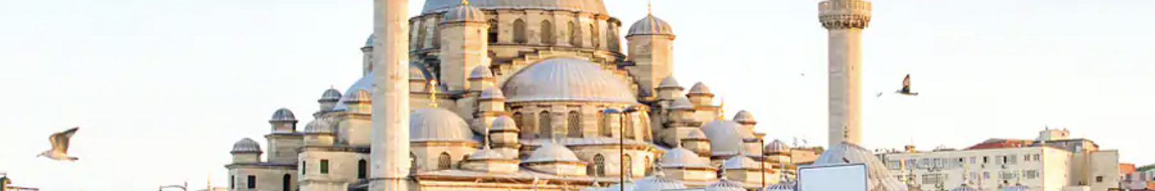 İstanbul Araç Kiralama